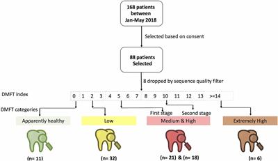 Microbial characteristics of dental caries in HIV positive individuals